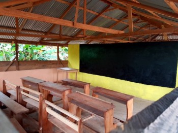Community school